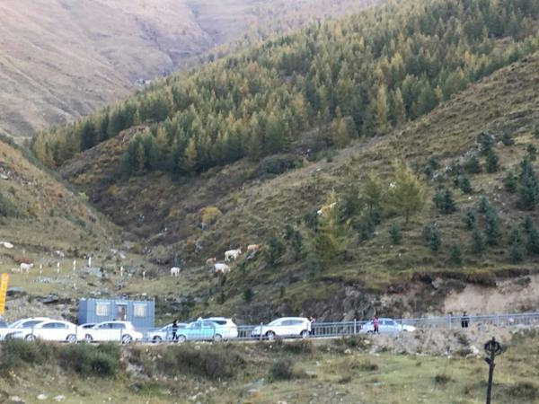 泛亚电竞官网_欧冠-英超冠军0-5客场惨负 热刺3-1取胜进欧联杯(图2) 泛亚电竞官网