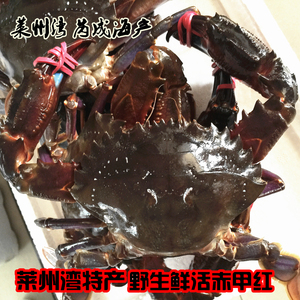 “泛亚电竞”燕窝的功效(图4) 泛亚电竞