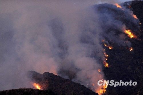 心脑血管前列腺糖尿病-蓝帽松杞片:泛亚电竞平台(图1) 泛亚电竞