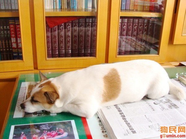 欧冠第一!梅西连续15个赛季打破欧冠 罗纳尔多被抛在了后面_泛亚电竞(图2) 泛亚电竞官网