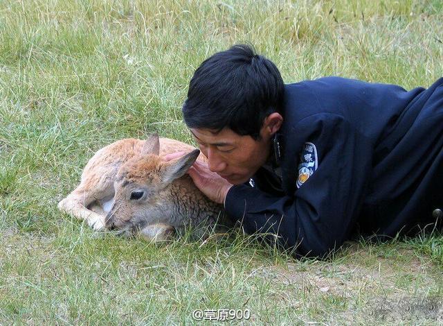‘泛亚电竞平台’2019第三届中国(贵州)国际大健康产业博览会 新闻通稿(图1) 泛亚电竞官网