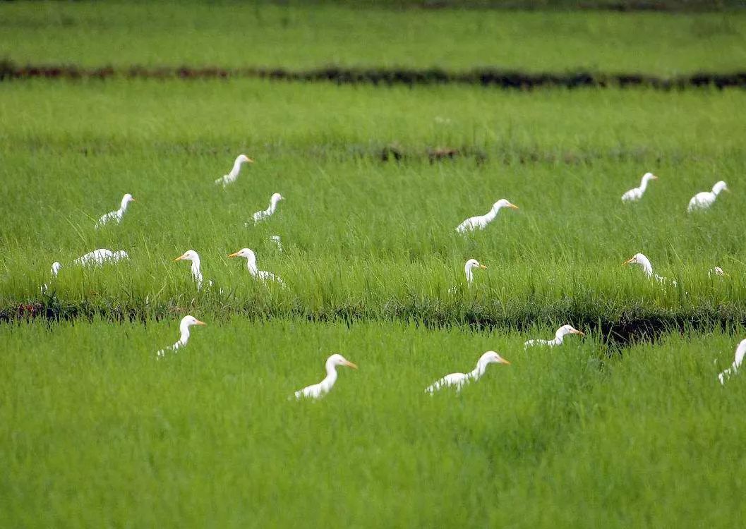 北京5年内吸烟率“希望”降至40%‘泛亚电竞官网’(图3) 泛亚电竞官网