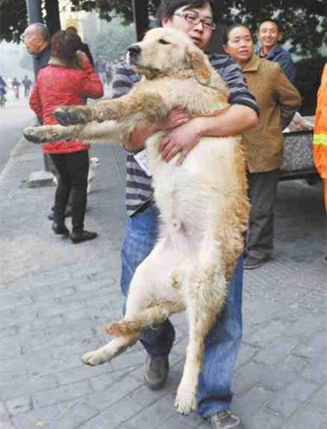 选购燕窝的基本常识【泛亚电竞】(图1) 泛亚电竞