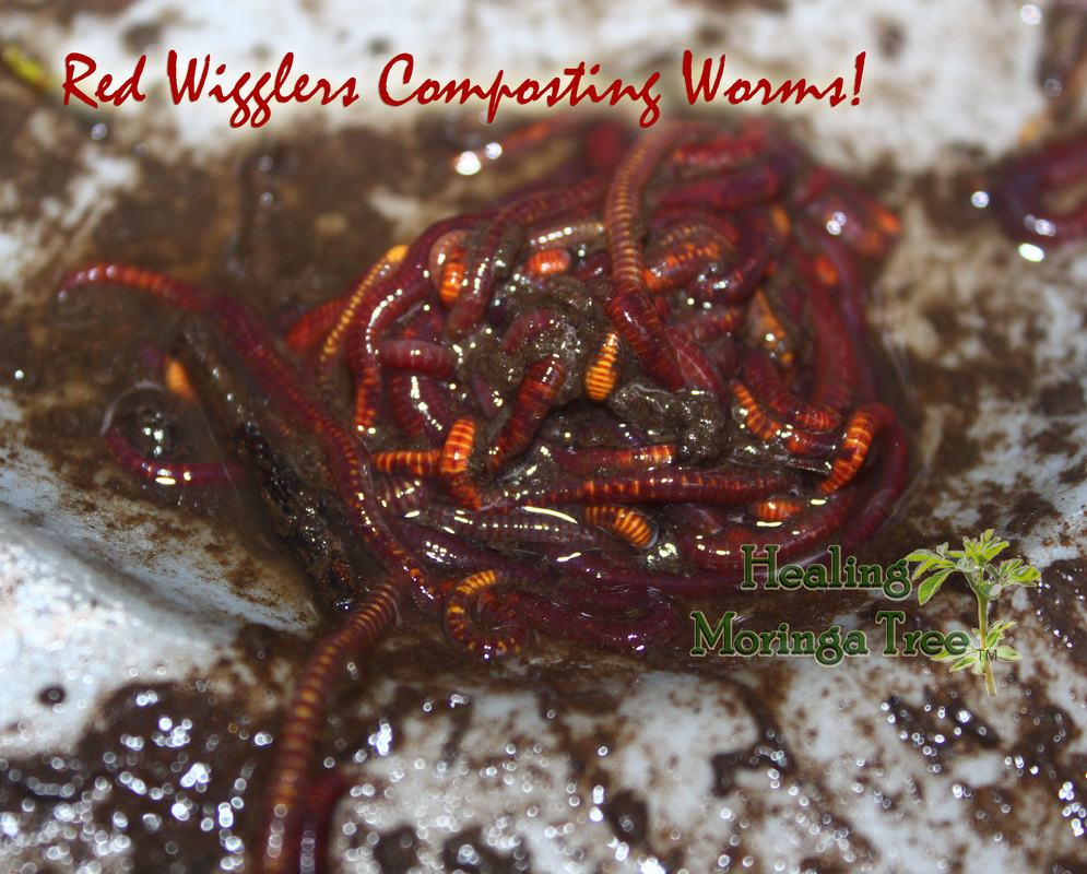 泛亚电竞平台|电脑关机耗时久的解决办法(图4) 泛亚电竞官网