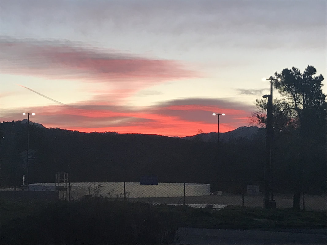 泛亚电竞官网-养生:立秋之日秋燥至 冬虫夏草平补时(图1) 泛亚电竞平台