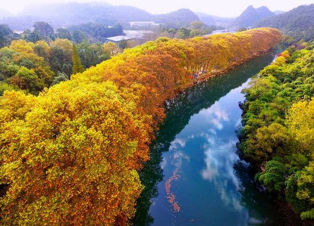 【泛亚电竞】有心脑血管病史的,建议常吃磷虾油(图2) 泛亚电竞