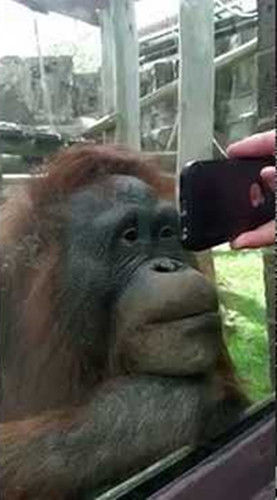 朱婷今晚继续出战女排欧冠,望再接再厉冲向决赛!‘泛亚电竞官网’(图1) 泛亚电竞