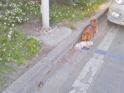 泛亚电竞